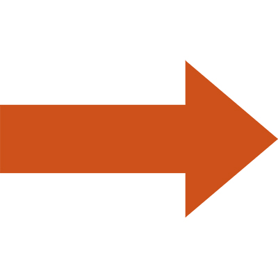 TL1138-Arrow-100mm