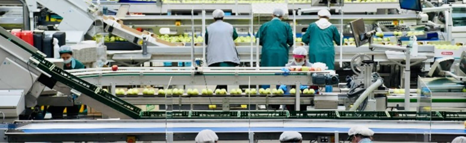 food processing copy